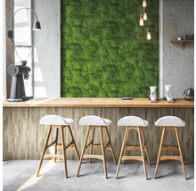 Helle Bar mit Mooswand, Kaffeemühle und Barhockern für eine freundliche Atmosphäre.