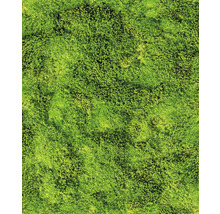 Moosstruktur für Garten oder Dekoration