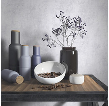 Dekoratives Stillleben mit Vasen, Schale und Pflanzen auf einem Tisch.