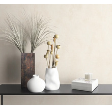 Vases décoratifs avec plantes ornementales et bougie sur une étagère
