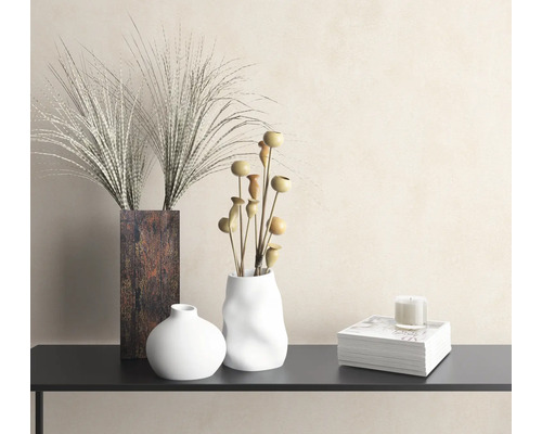 Vases décoratifs avec plantes ornementales et bougie sur une étagère