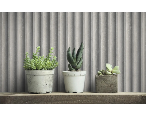 Plantes succulentes décoratives dans des pots en béton sur une étagère en bois devant des panneaux muraux