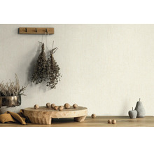 Scène décorative avec plantes, noix et objets en bois sur une table devant un mur