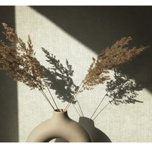 Graminées décoratives dans un vase