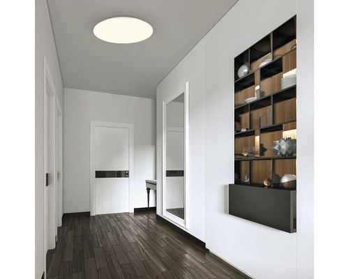 Flur mit Deckenleuchte, Spiegel und Regal