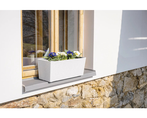 Blumenkasten mit blühenden Primeln auf Fensterbank