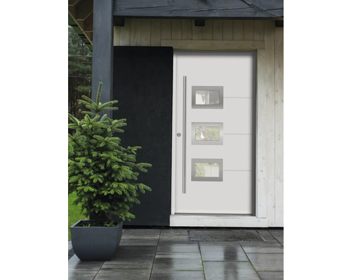 Moderne Haustür mit Glaseinsätzen und Edelstahlgriff