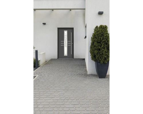 Modernes Haus mit Haustür, Pflastersteinen und Pflanze im Topf