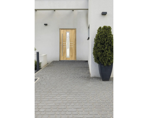 Espace d''entrée d''une maison avec porte d''entrée à insert en verre