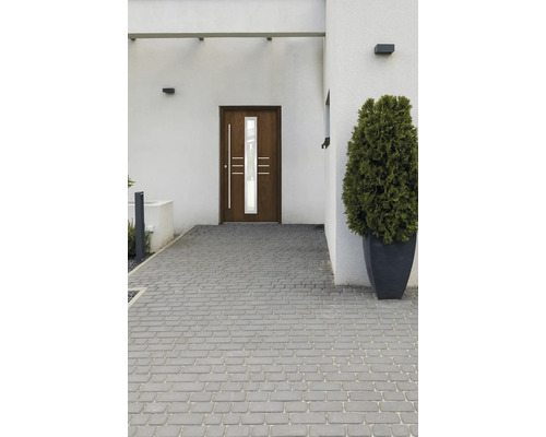 Vordereingang mit Haustür, Pflastersteinen und Strauch