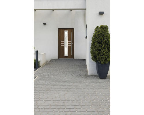 Eingangsbereich mit Haustür, Pflastersteinen und Pflanze im Topf