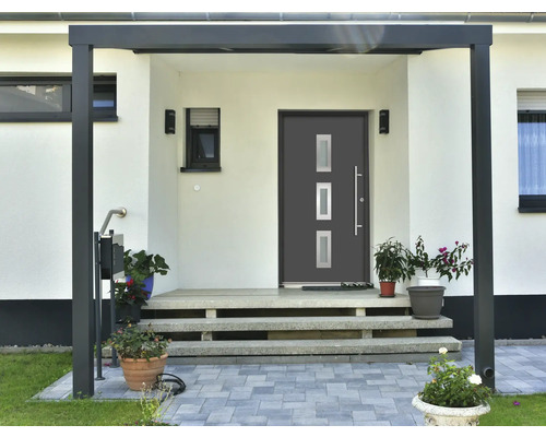 Haustür mit Überdachung, Treppe und Pflanzen