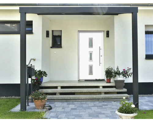 Zone d''entrée d''une maison avec porte d''entrée, escalier et plantes