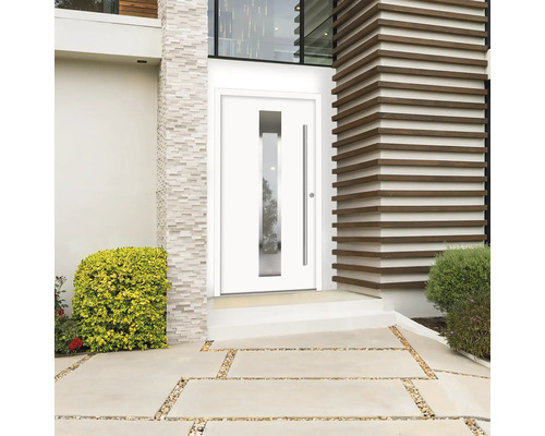 Moderne Haustür mit Glaseinsatz und Edelstahlgriff in einem Hauseingang