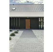 Façade de maison moderne avec chemin pavé et porte d''entrée