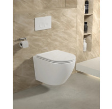 WC suspendu avec plaque de commande et porte-papier toilette dans une salle de bains avec des étagères