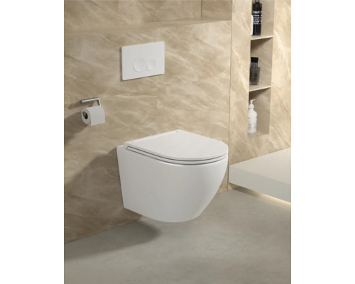 WC suspendu avec plaque de commande et porte-papier toilette dans une salle de bains avec des étagères