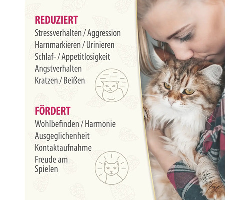 Une femme tient un chat : réduit le stress, favorise le bien-être.