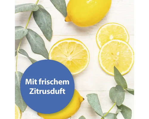 Citrons et eucalyptus avec le texte ''Mit frischem Zitrusduft''