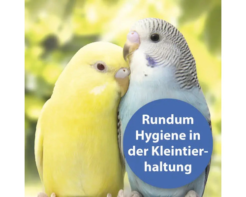Deux perruches ondulées: Hygiène dans l''élevage de petits animaux