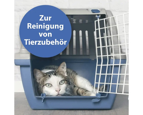 Chat couché dans une cage de transport bleue pour animaux de compagnie