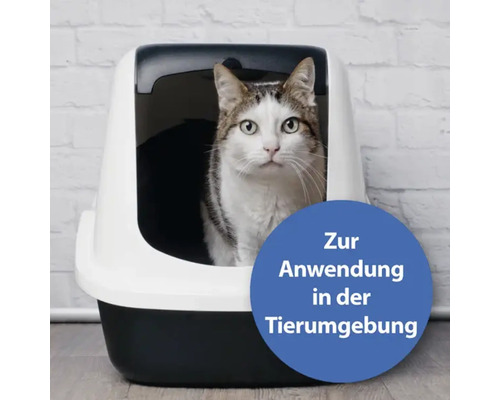 Katze in einer Katzentoilette mit Deckel