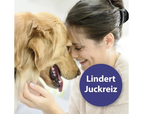 "Une femme sourit en touchant un chien au front 