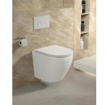 WC suspendu avec plaque de commande et support de papier toilette dans une salle de bains.