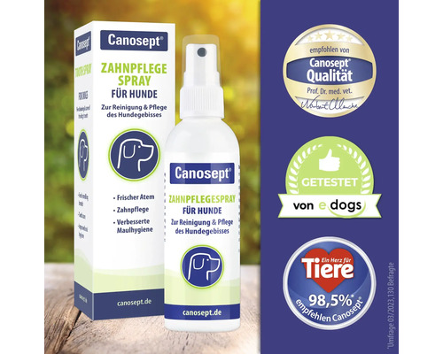 Spray de soin dentaire Canosept pour chiens, pour le nettoyage et le soin de la dentition du chien