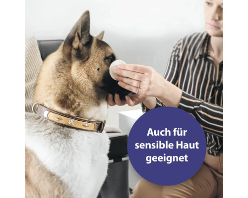 Une femme nettoie un chien avec un coton. Le produit convient également aux peaux sensibles.