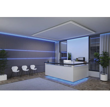 Empfangsbereich mit Rezeption, Stühlen und Pflanzen in einem modern gestalteten Büro.