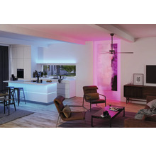 Modernes Wohnzimmer mit Küche, Deckenventilator und farbiger Beleuchtung
