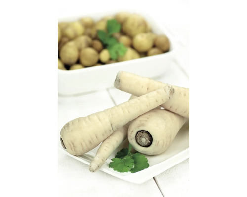 Panais sur une assiette avec du persil