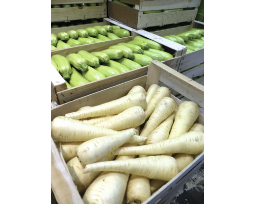 Caisses en bois remplies de panais et de courgettes