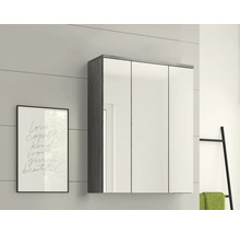 Aménagement de salle de bains avec armoire de toilette, décoration et porte-serviettes