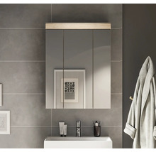 Salle de bain avec armoire de toilette au-dessus d''un lavabo