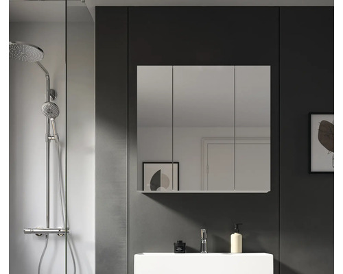 Salle de bains avec robinetterie de douche, lavabo et armoire de toilette
