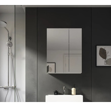 Salle de bain avec armoire de toilette, lavabo et douche