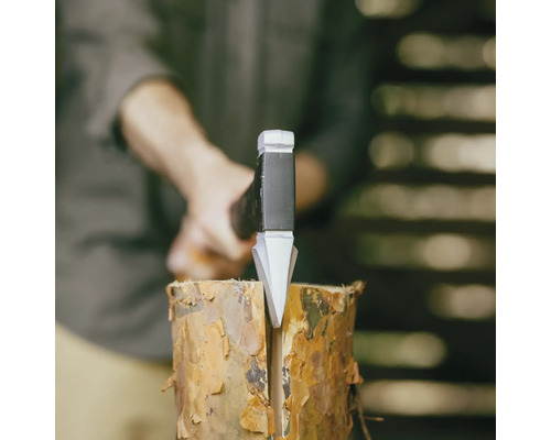 Spaltaxt im Holzscheit