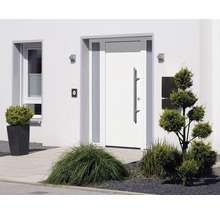 Façade de maison avec porte d''entrée, fenêtre et plantes