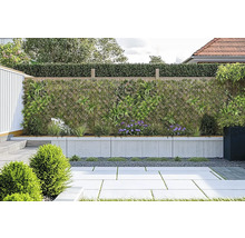 Scène de jardin avec écran d''intimité, mur planté et sol pavé
