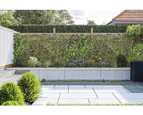 Gartenszene mit Sichtschutzzaun, bepflanzter Mauer und gepflastertem Boden