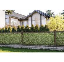 Clôture de jardin avec tapis de protection visuelle et maison en arrière-plan