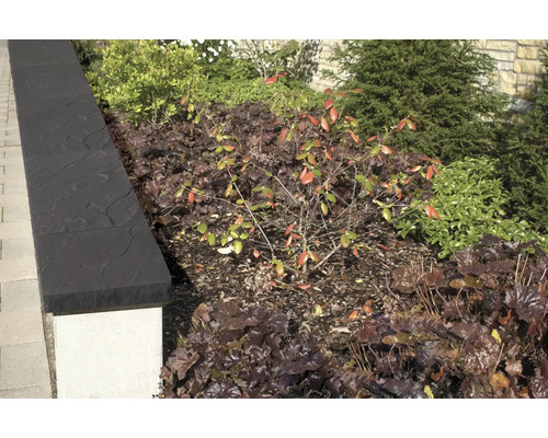 Gros plan sur un jardin avec bordures de parterres et diverses plantes