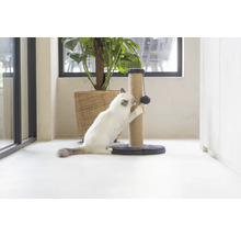 Katze benutzt einen Kratzbaum mit Spielzeug in einem hellen Raum