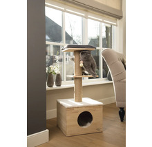 Chat sur un arbre à chat avec des surfaces de couchage, une colonne en sisal et une niche pour chat devant une fenêtre.