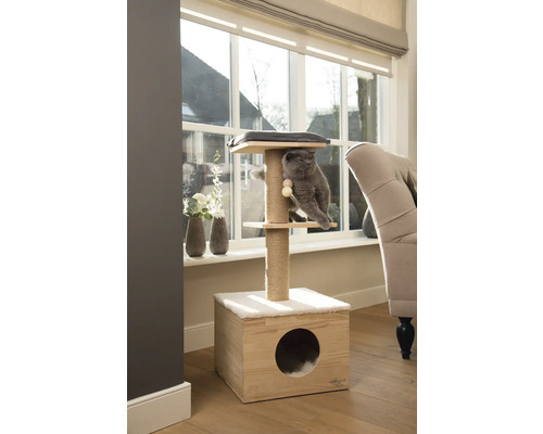 Chat sur un arbre à chat avec des surfaces de couchage, une colonne en sisal et une niche pour chat devant une fenêtre.