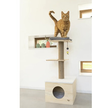 Chat sur arbre à chat avec aires de repos et jouet
