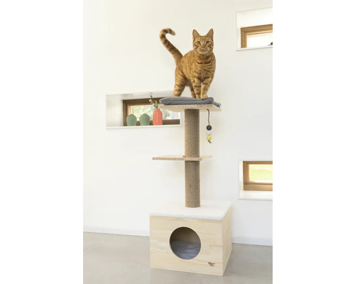 Chat sur arbre à chat avec aires de repos et jouet