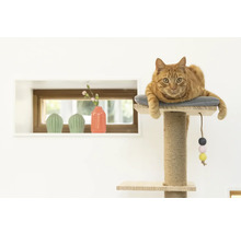 Chat allongé sur un arbre à chat avec tronc en sisal et jouet